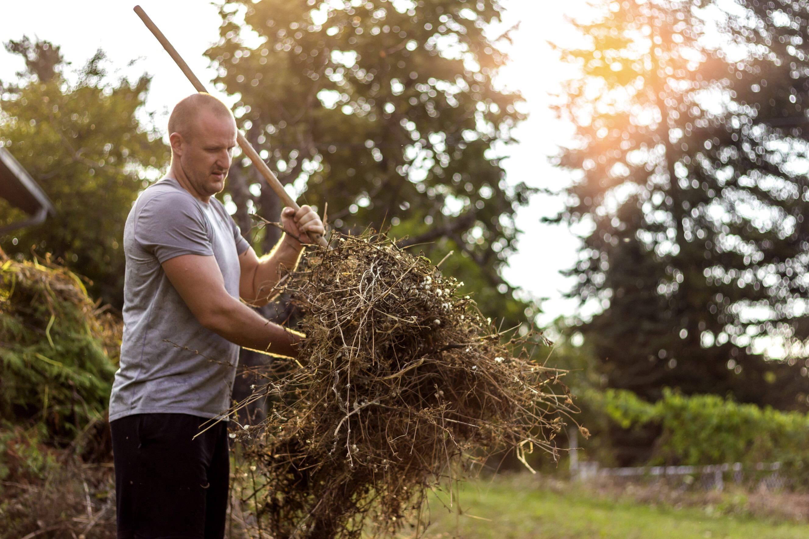 Garden Tidy Up